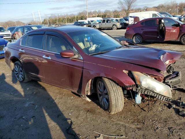 1HGCP3F89BA013061 - 2011 HONDA ACCORD EXL BURGUNDY photo 4