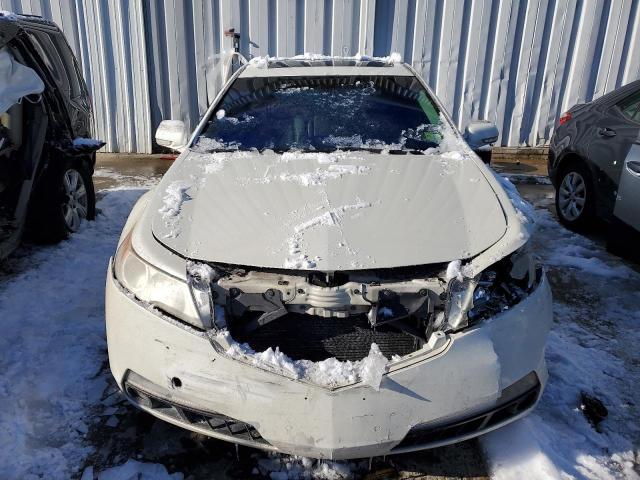 19UUA86589A006041 - 2009 ACURA TL WHITE photo 5