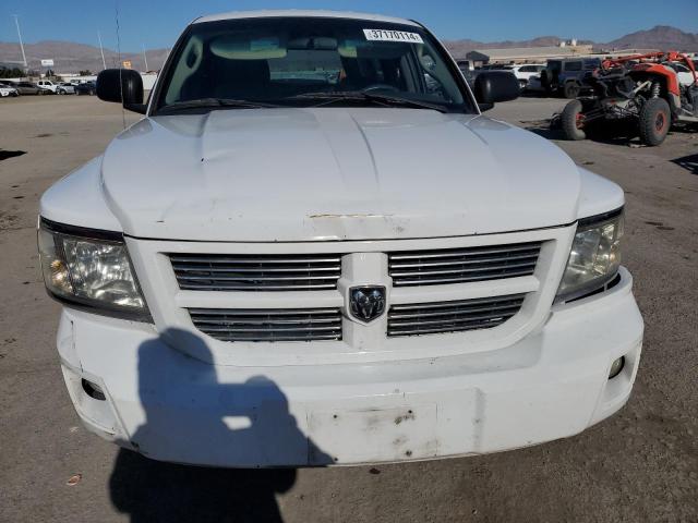 1D3HE22K98S579446 - 2008 DODGE DAKOTA ST WHITE photo 5