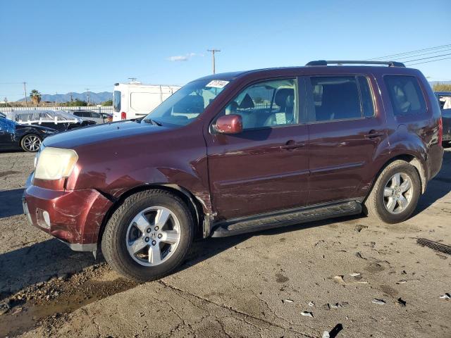 5FNYF38559B014915 - 2009 HONDA PILOT EXL BURGUNDY photo 1