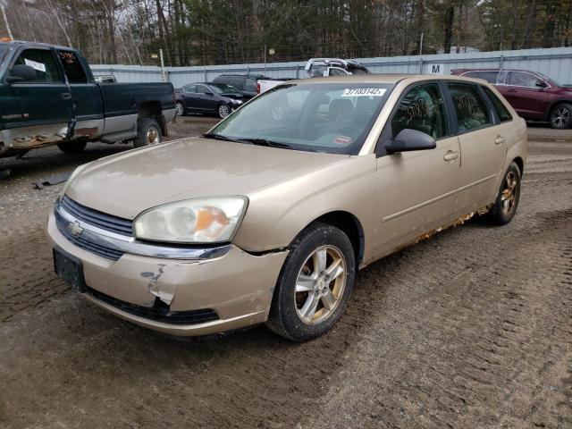 1G1ZT62825F188988 - 2006 CHEVROLET MALIBU MAXX LS TAN photo 2