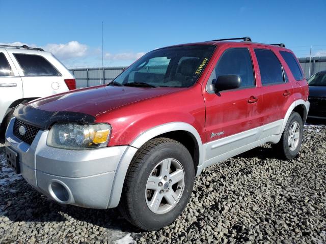 1FMCU95H86KC28003 - 2006 FORD ESCAPE HEV RED photo 1