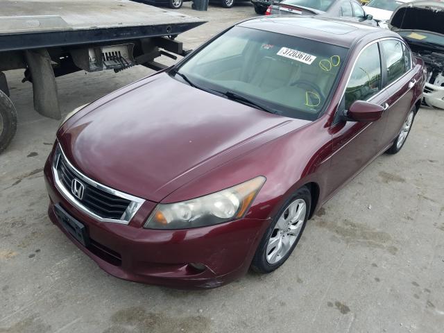 1HGCP36888A011259 - 2008 HONDA ACCORD EXL  photo 2