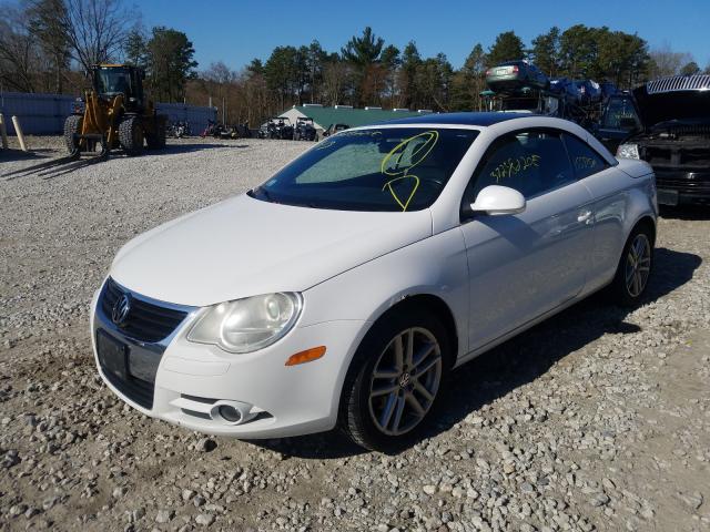 WVWFA71F88V023656 - 2008 VOLKSWAGEN EOS LUX  zdjęcie 2