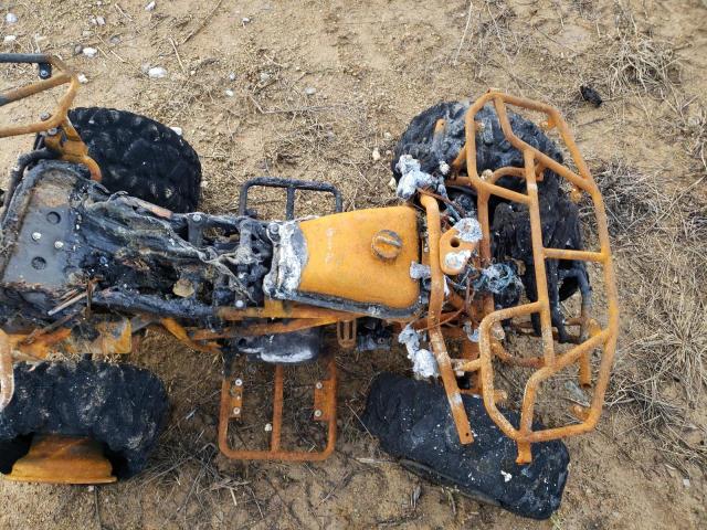 L6JAGJLC8N1001727 - 2022 ATV ALL MODELS BURN photo 5