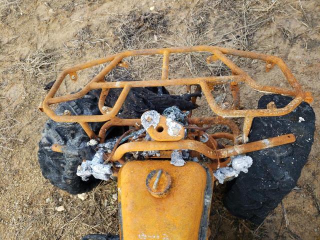 L6JAGJLC8N1001727 - 2022 ATV ALL MODELS BURN photo 8