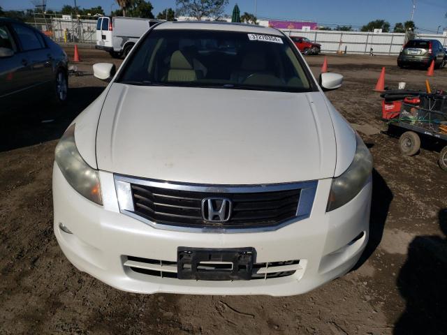 5KBCP3F83AB016785 - 2010 HONDA ACCORD EXL WHITE photo 5