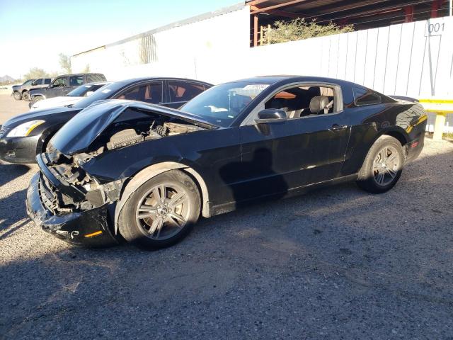 1ZVBP8AM6D5214243 - 2013 FORD MUSTANG BLACK photo 1