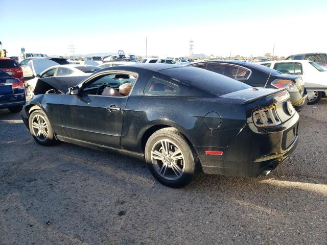 1ZVBP8AM6D5214243 - 2013 FORD MUSTANG BLACK photo 2