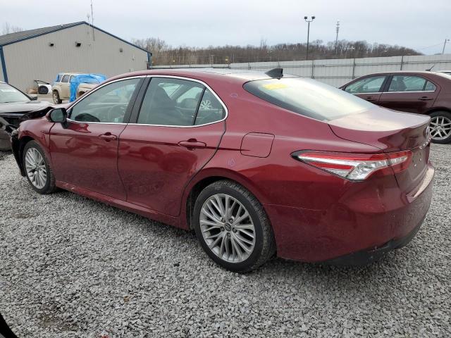 4T1B11HKXKU812916 - 2019 TOYOTA CAMRY L RED photo 2