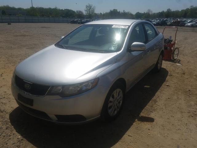 KNAFU4A29A5235620 - 2010 KIA FORTE EX  photo 2