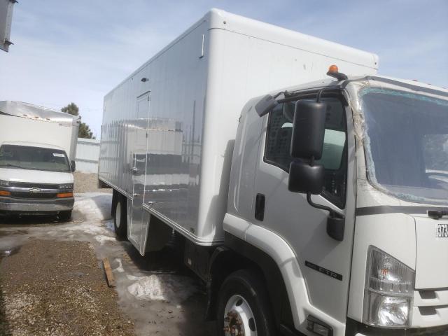 54DK6S167LSG50313 - 2020 ISUZU FTR WHITE photo 1