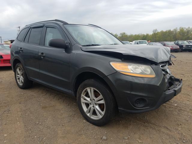 5NMSGDAB9AH413208 - 2010 HYUNDAI SANTA FE GLS  photo 1