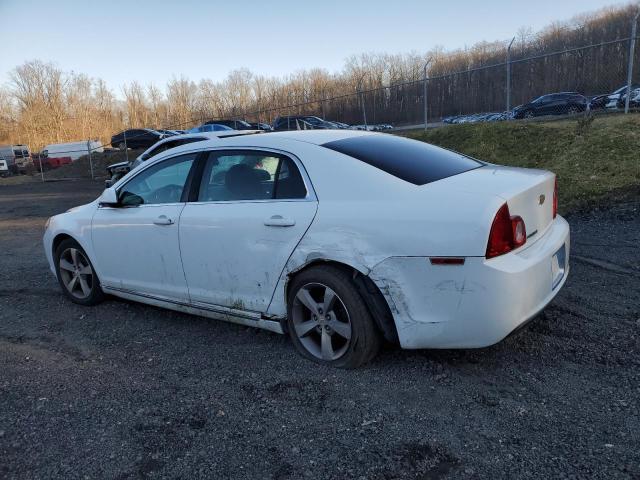 1G1ZC5E1XBF145293 - 2011 CHEVROLET MALIBU 1LT 白色 照片 2