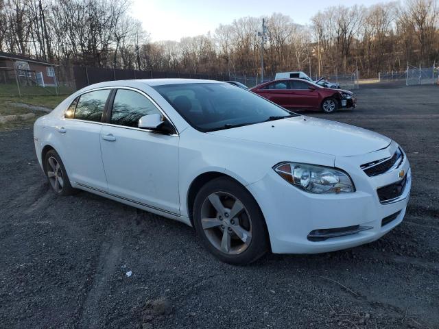 1G1ZC5E1XBF145293 - 2011 CHEVROLET MALIBU 1LT 白色 照片 4