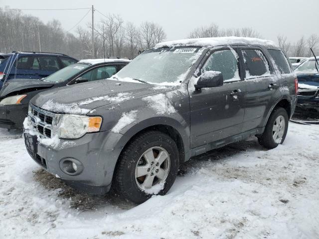 2009 FORD ESCAPE XLT, 