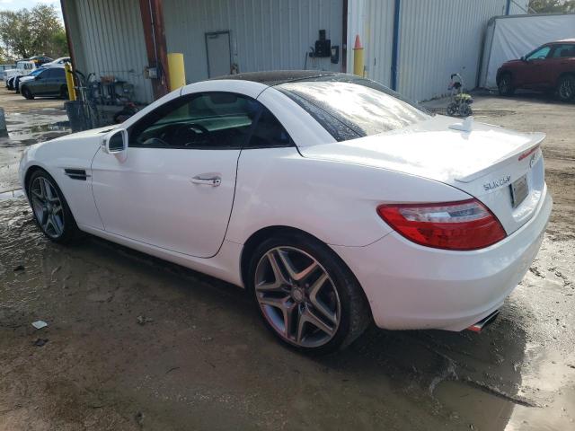 WDDPK4HA1FF106238 - 2015 MERCEDES-BENZ SLK 250 WHITE photo 2