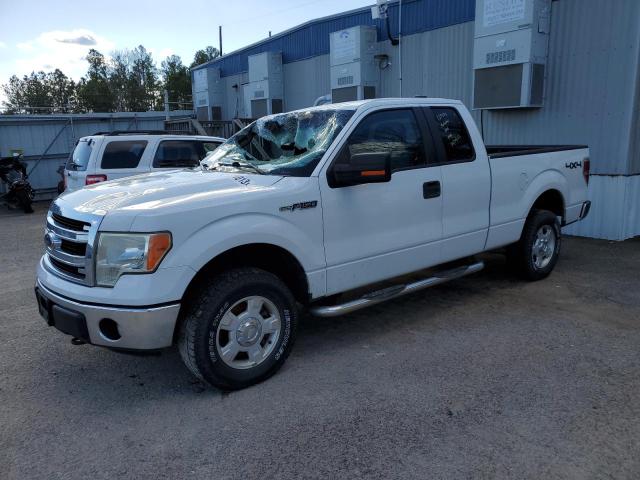 1FTFX1EF5DKD49254 - 2013 FORD F150 SUPER CAB WHITE photo 1