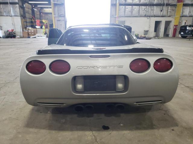 1G1YY22G3W5101216 - 1998 CHEVROLET CORVETTE SILVER photo 6