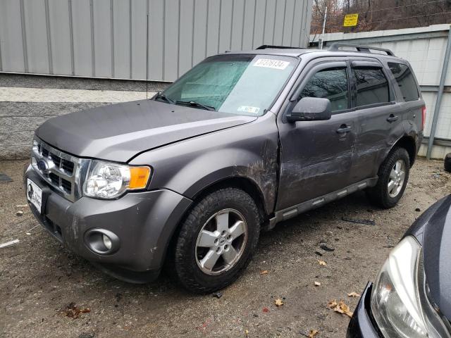 2009 FORD ESCAPE XLT, 