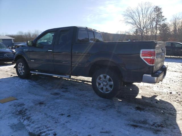 1FTFX1ETXDFB33284 - 2013 FORD F150 SUPER CAB BLACK photo 2