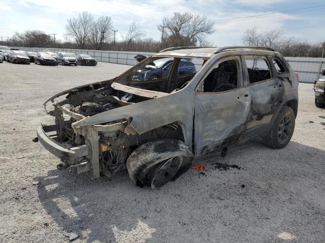 1C4PJMBS6GW268916 - 2016 JEEP CHEROKEE TRAILHAWK TAN photo 1