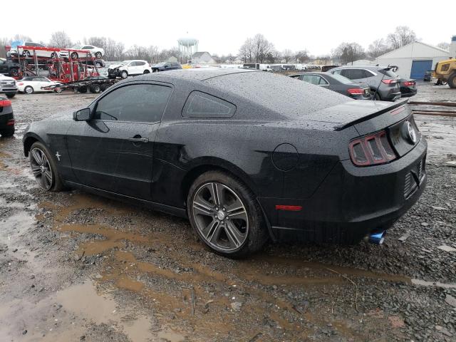 1ZVBP8AM2D5273533 - 2013 FORD MUSTANG BLACK photo 2