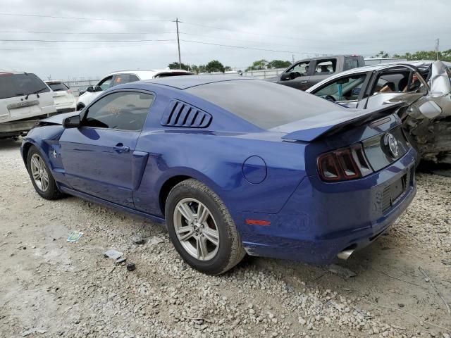 1ZVBP8AM6E5305675 - 2014 FORD MUSTANG BLUE photo 2