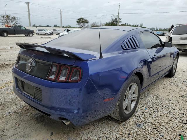 1ZVBP8AM6E5305675 - 2014 FORD MUSTANG BLUE photo 3