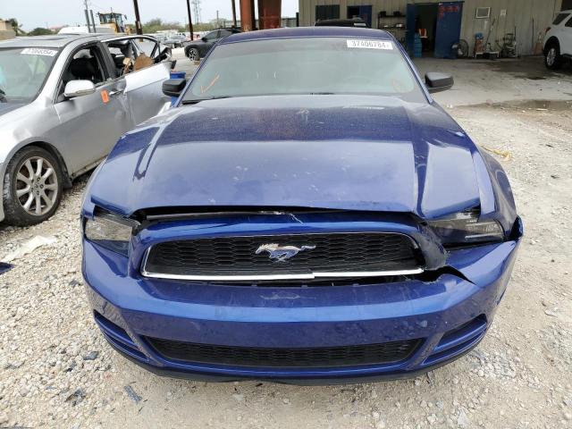 1ZVBP8AM6E5305675 - 2014 FORD MUSTANG BLUE photo 5