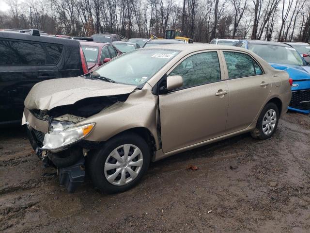 2T1BU4EE5AC299310 - 2010 TOYOTA COROLLA BASE GOLD photo 1