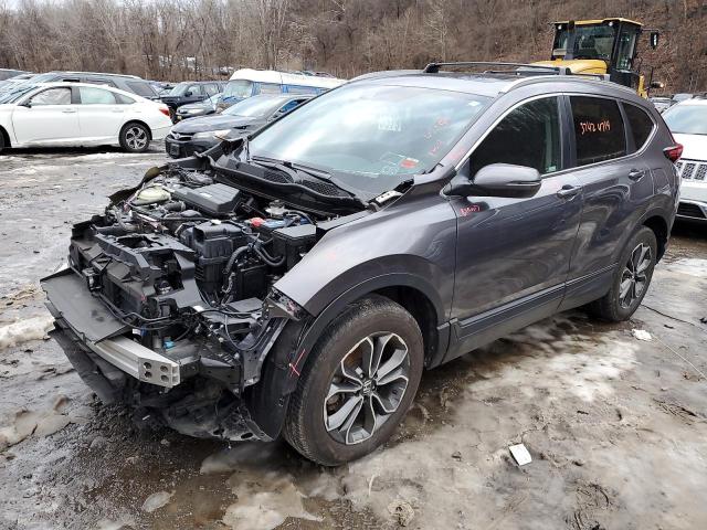 5J6RW2H56LA017525 - 2020 HONDA CR-V EX GRAY photo 1