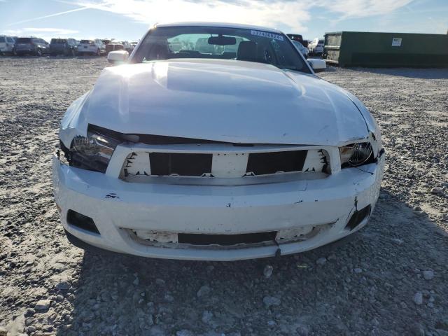 1ZVBP8AN9A5156066 - 2010 FORD MUSTANG WHITE photo 5