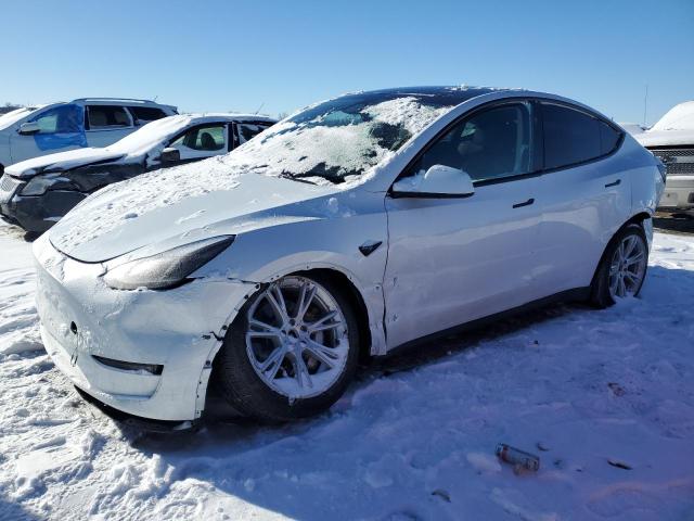 2023 TESLA MODEL Y, 