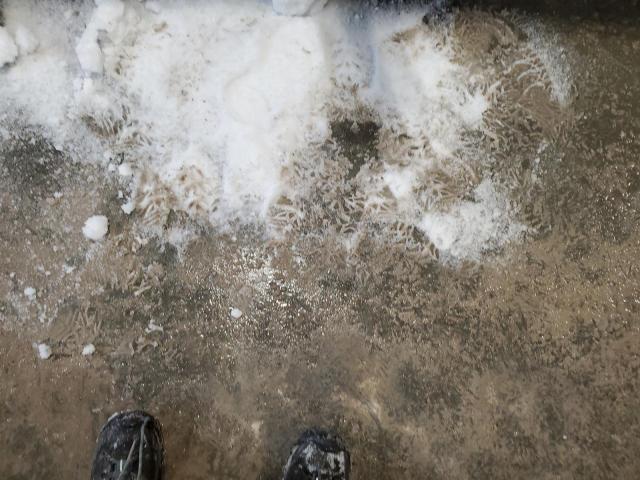 ZFBERFAT3G6B46669 - 2016 RAM PROMASTER თეთრი ფოტო 8