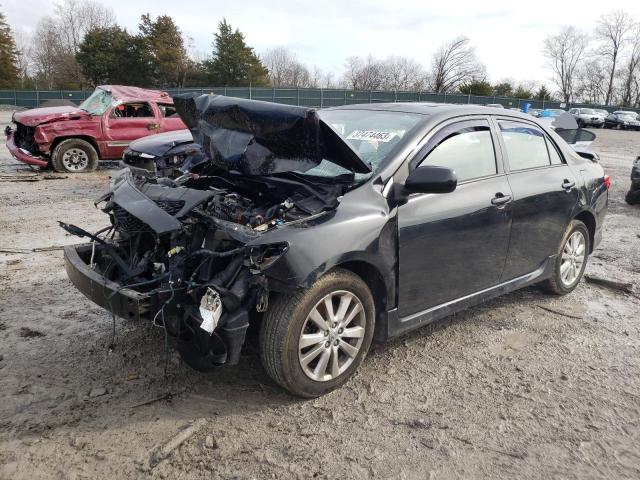 1NXBU4EEXAZ242714 - 2010 TOYOTA COROLLA BASE BLACK photo 1