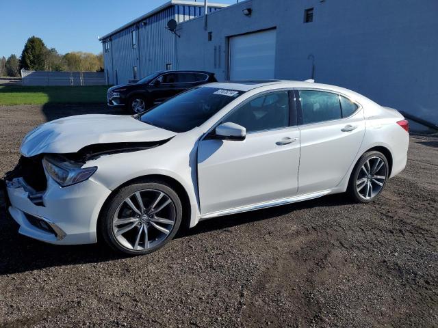 19UUB3F81KA801254 - 2019 ACURA TLX ADVANCE WHITE photo 1