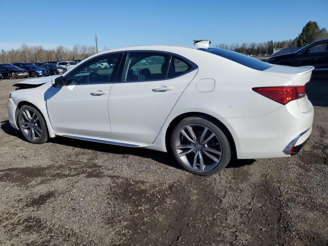 19UUB3F81KA801254 - 2019 ACURA TLX ADVANCE WHITE photo 2