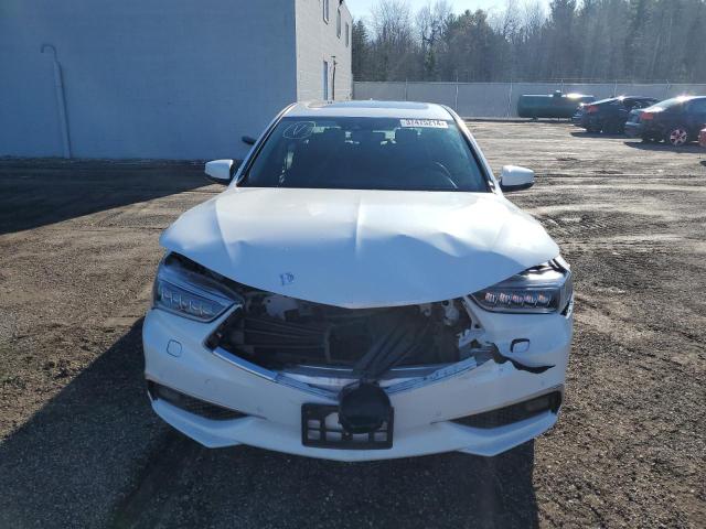 19UUB3F81KA801254 - 2019 ACURA TLX ADVANCE WHITE photo 5