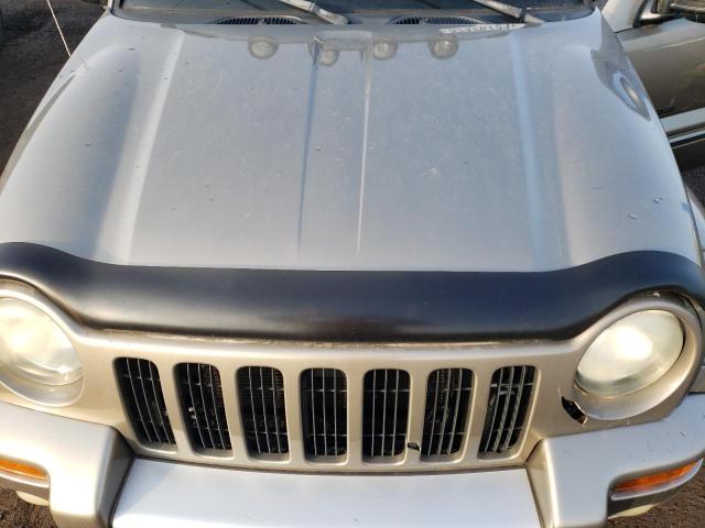 1J4GL38K93W633136 - 2003 JEEP LIBERTY RENEGADE 金色 照片 11