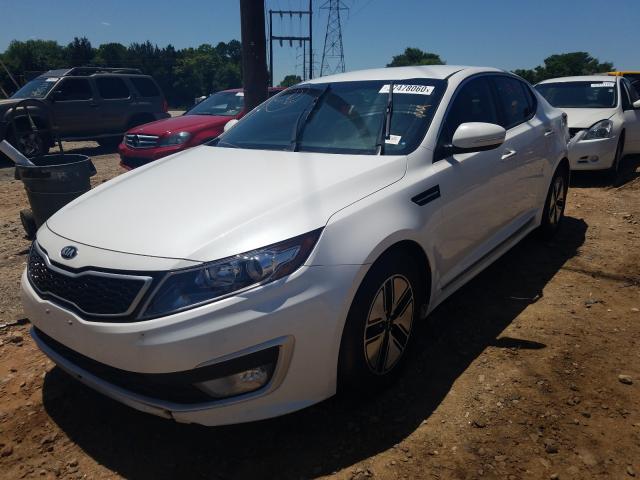 KNAGM4AD9C5030243 - 2012 KIA OPTIMA HYBRID  photo 2