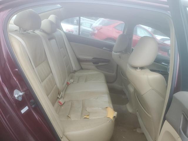 1HGCP26879A108559 - 2009 HONDA ACCORD EXL BURGUNDY photo 10