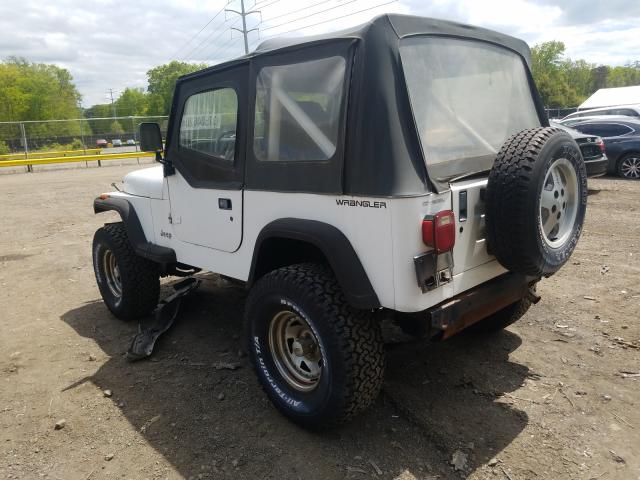 2J4FY19P0MJ133435 - 1991 JEEP WRANGLER / YJ S  photo 3