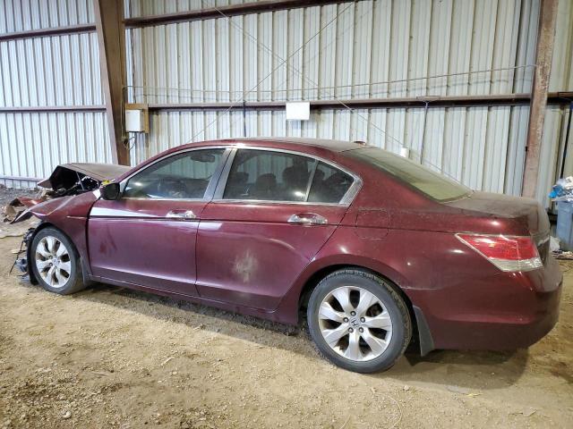 1HGCP36899A032316 - 2009 HONDA ACCORD EXL BURGUNDY photo 2