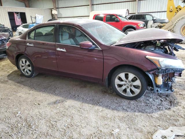 1HGCP36899A032316 - 2009 HONDA ACCORD EXL BURGUNDY photo 4