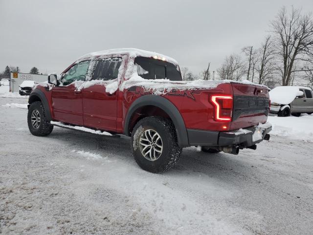 1FTFW1RG1JFD82231 - 2018 FORD F150 RAPTOR MAROON photo 2