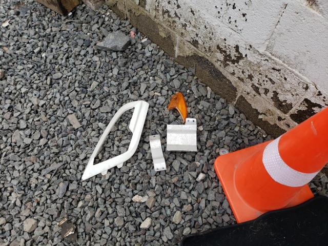 MAJ6S3GL2KC258663 - 2019 FORD ECOSPORT SE WHITE photo 13