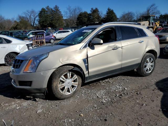 3GYFNAEY8BS551962 - 2011 CADILLAC SRX LUXURY COLLECTION GOLD photo 1