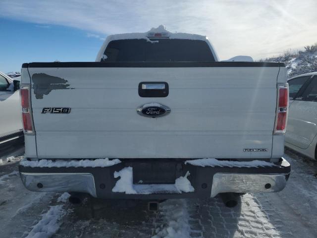 1FTFW1EF4EKF26980 - 2014 FORD F150 SUPERCREW WHITE photo 6