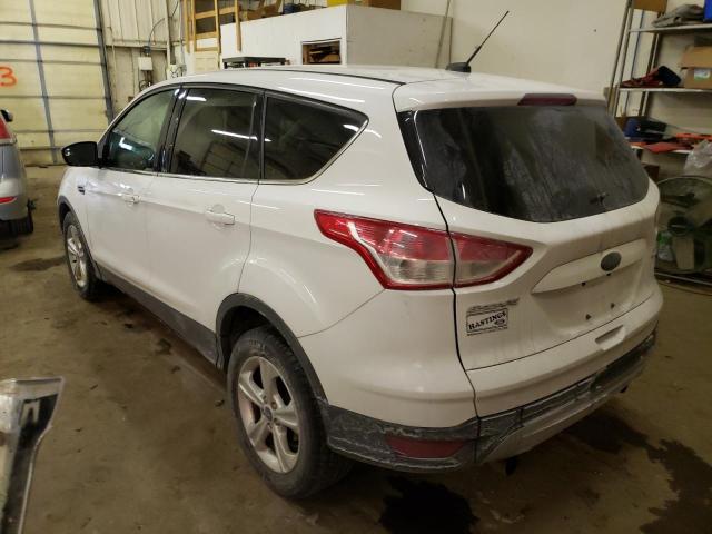 1FMCU9GX4DUC15304 - 2013 FORD ESCAPE SE WHITE photo 2